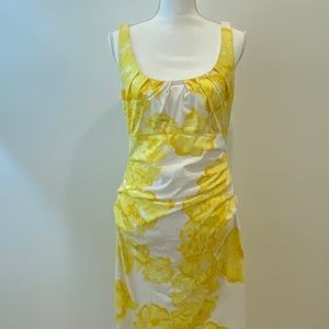 Suzuki Chin Dress